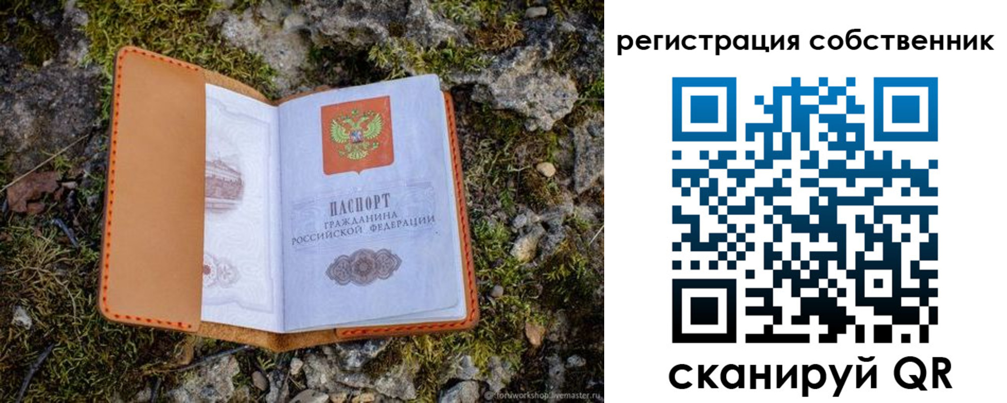 прописка поиск в Тейково